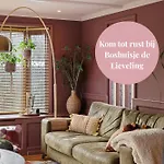 Chalet Boshuisje Met Privétuin Bij Kruisbergse Bossen Achterhoek *