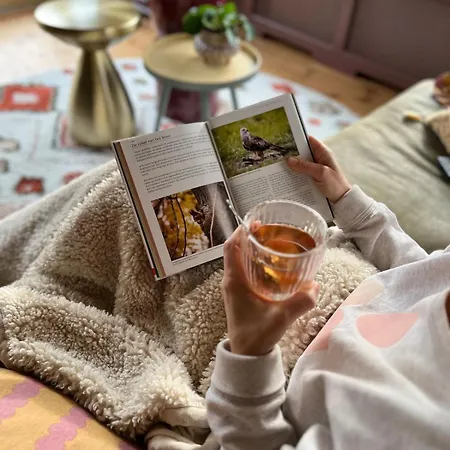 Boshuisje Met Privétuin Bij Kruisbergse Bossen Achterhoek * Hummelo