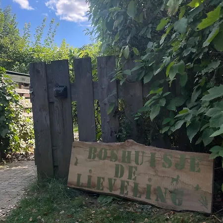 Boshuisje Met Privetuin Bij Kruisbergse Bossen Achterhoek