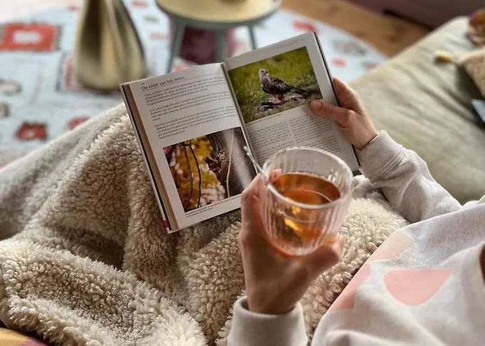 Boshuisje Met Privetuin Bij Kruisbergse Bossen Achterhoek * Hummelo