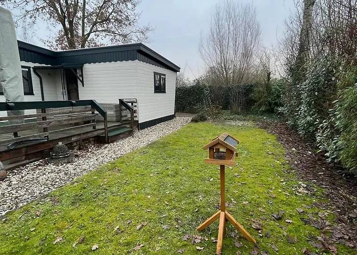 Boshuisje Met Privetuin Bij Kruisbergse Bossen Achterhoek Chalet