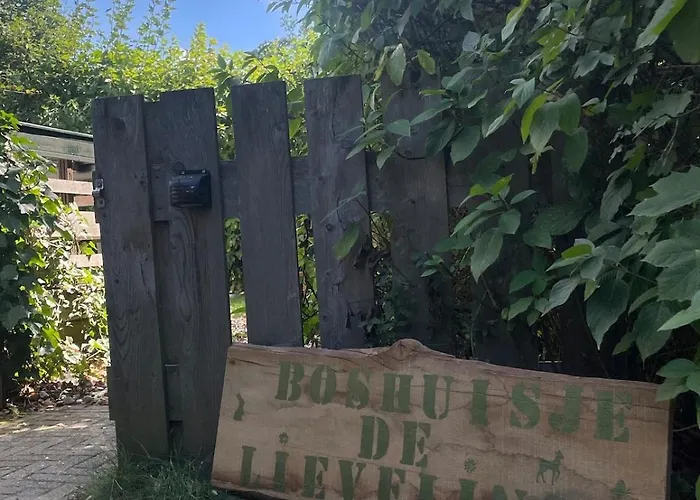 Boshuisje Met Privetuin Bij Kruisbergse Bossen Achterhoek